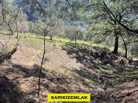 Resim14242